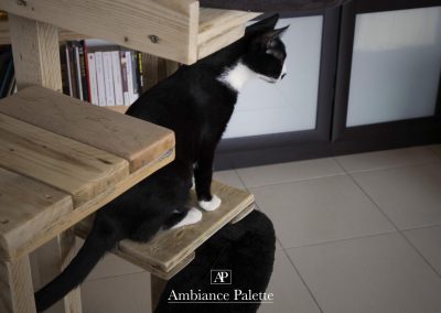 Arbre à chat design par Ambiance Palette (24)